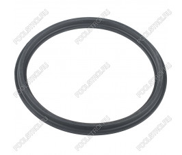 Уплотнительное кольцо Hayward муфты RS II (RSX750N) Уплотнительное кольцо Hayward муфты RS II (RSX750N)